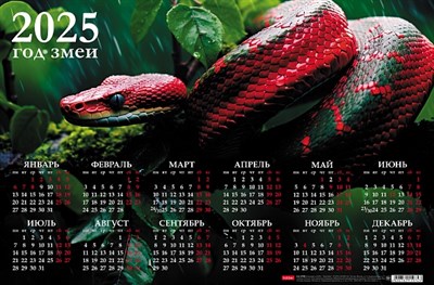 Календарь настенный листовой  А3ф 435X290мм на 2025г Картон мелованный-Год Змеи- - фото 12407073