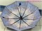 Зонт полуавтомат Арт 23679 №9 144914